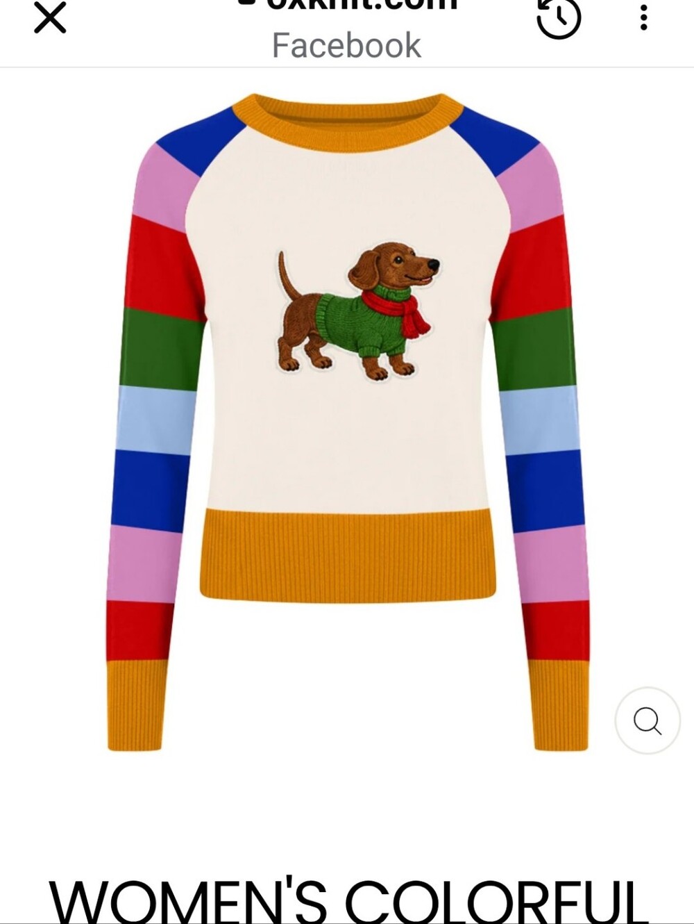 Women's Colorful Striped Sleeve Sweater with Dachshund Motif